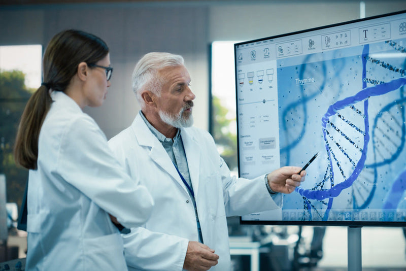 Proteoglikany – klucz do zdrowych i mocnych włosów